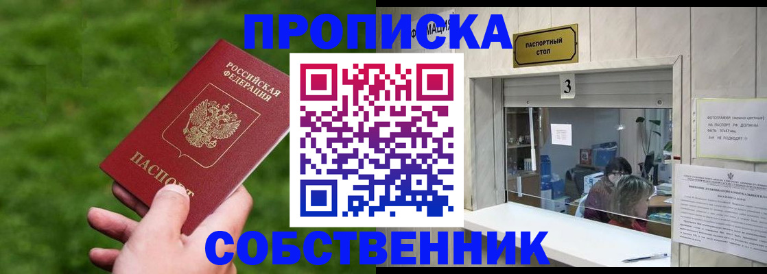 прописка поиск в Камышине